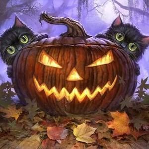 Meet your Posher, Michele